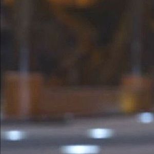 Meet your Posher, Sadie